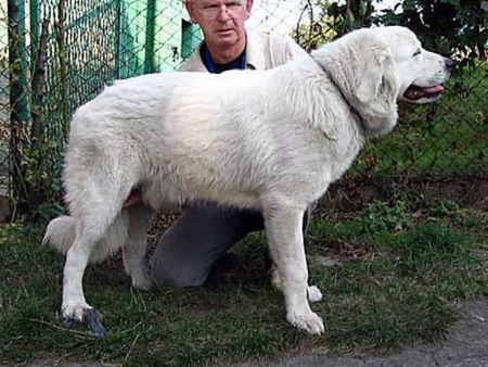 Hyrny z Butorowego Wierchu Hyrny z Butorowego Wierchu